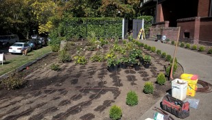 Netafim installed after planting and before mulch